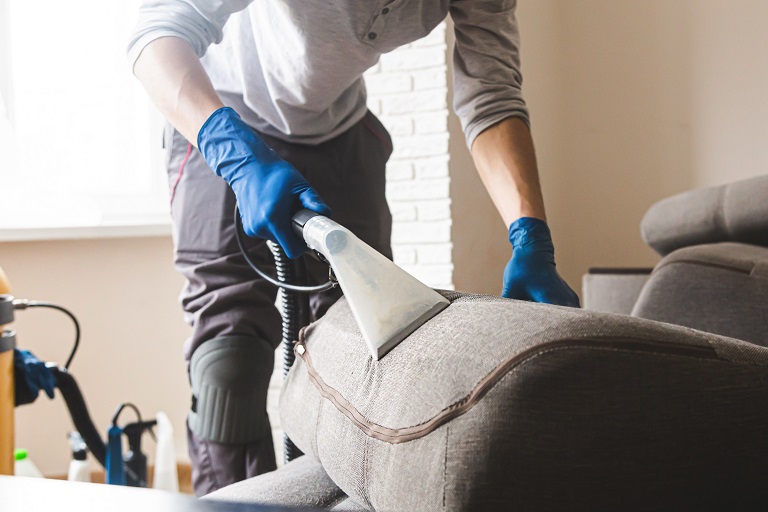 Smart Sofa Care Repair, Maintain, and Keep Your Couch Looking New